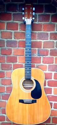 Hohner Acoustic